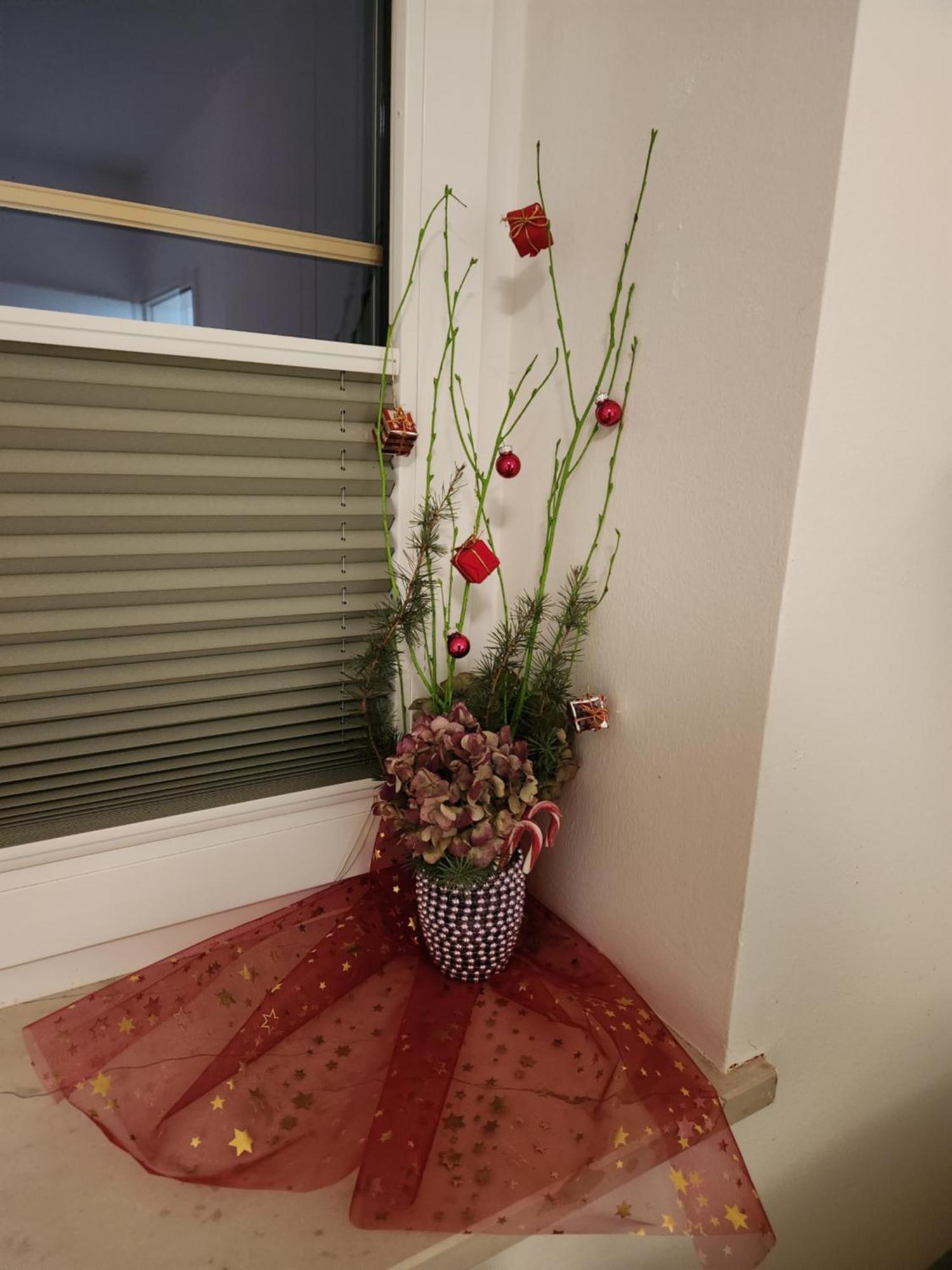 빌라 라이스카 프티차 블레드 객실 사진